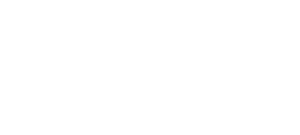 Ironshark Logo
